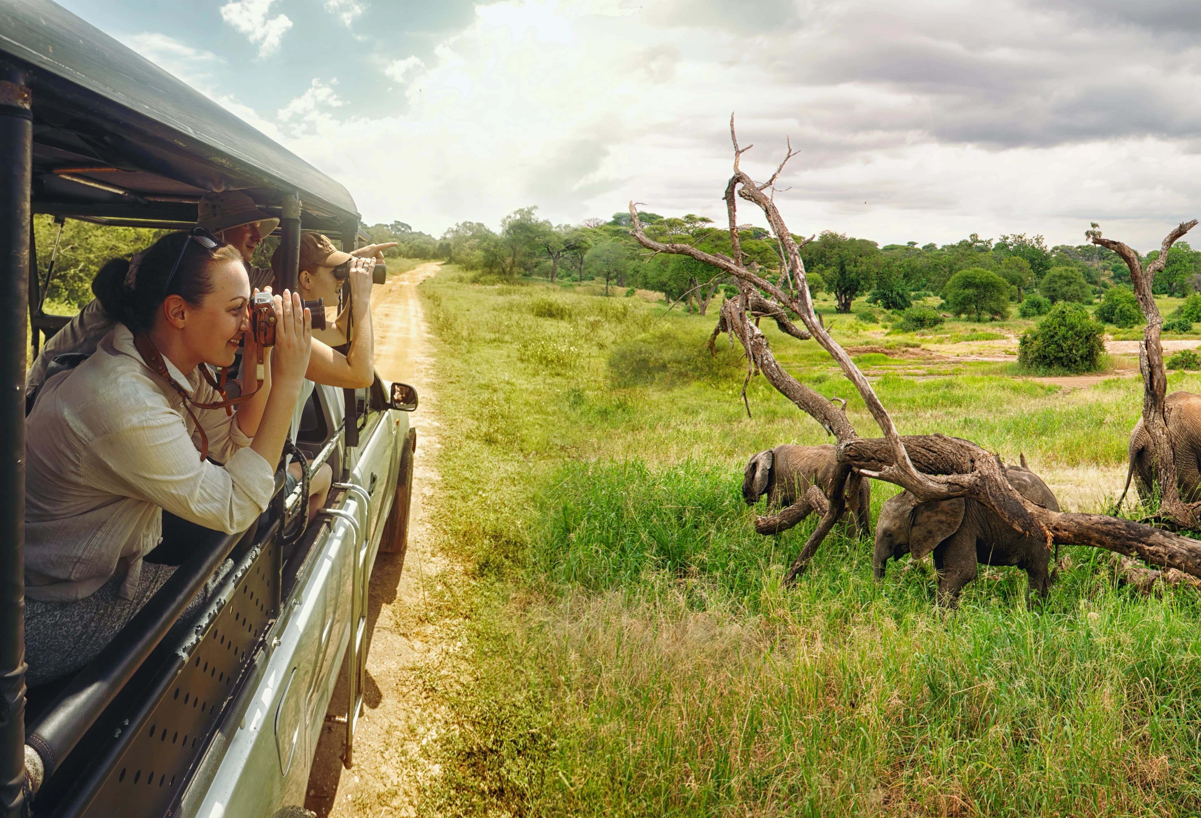 Safari jeep watching a large elephant herd during a Sri Lanka wildlife tour in Udawalawe National Park.